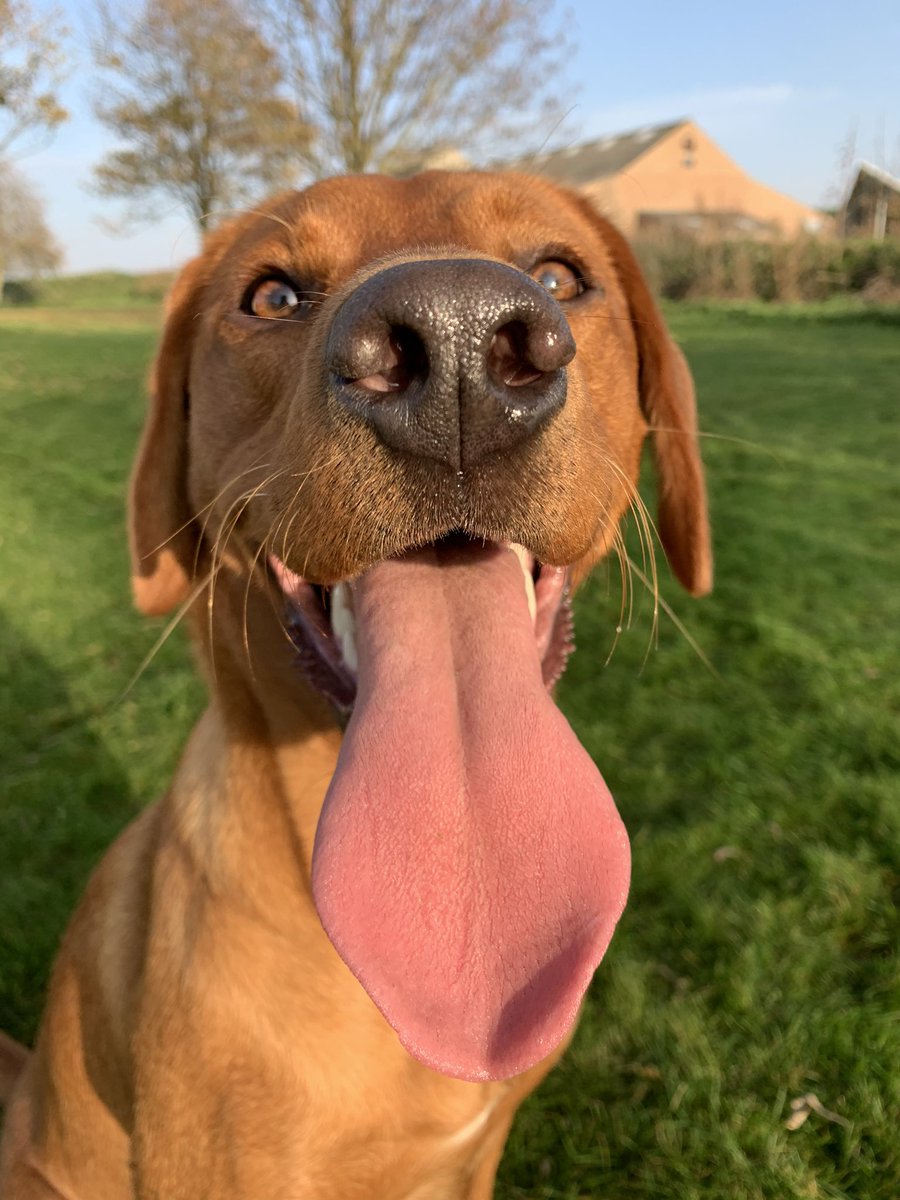 Freddie Hay tweet media