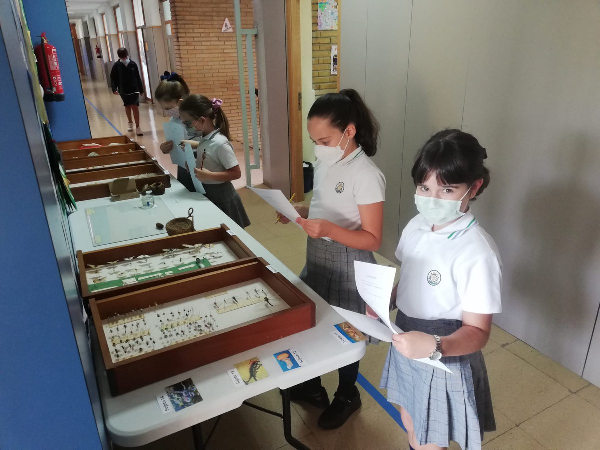 pmariacid's tweet photo. Un aprendizaje basado en trabajo por proyectos. Una metodología que afianza los conocimientos.⏳💪📘

#conectadosalinfinito  #ABP #aprendizajeporproyectos #educación @pmariacid @mater_p https://t.co/XoL4FIwQye