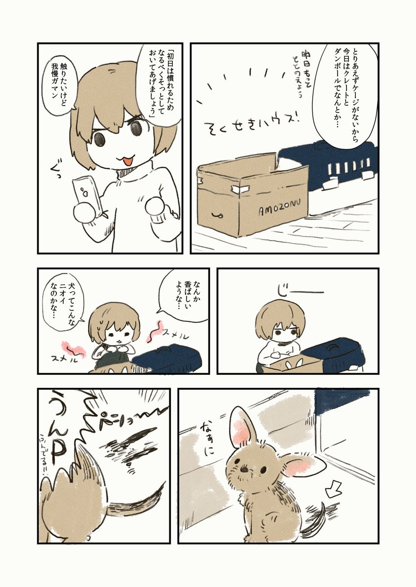 けぱけぱの子犬のにおいの話 