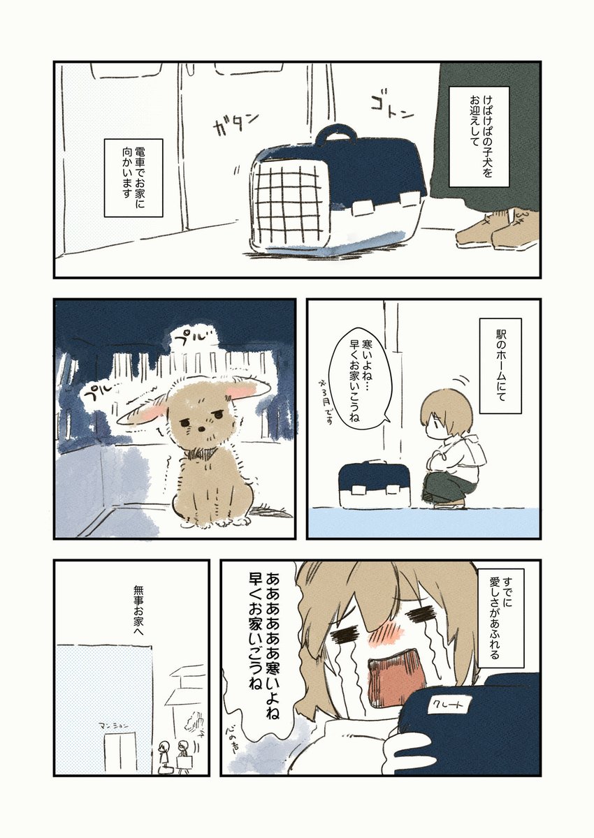 けぱけぱの子犬のにおいの話 
