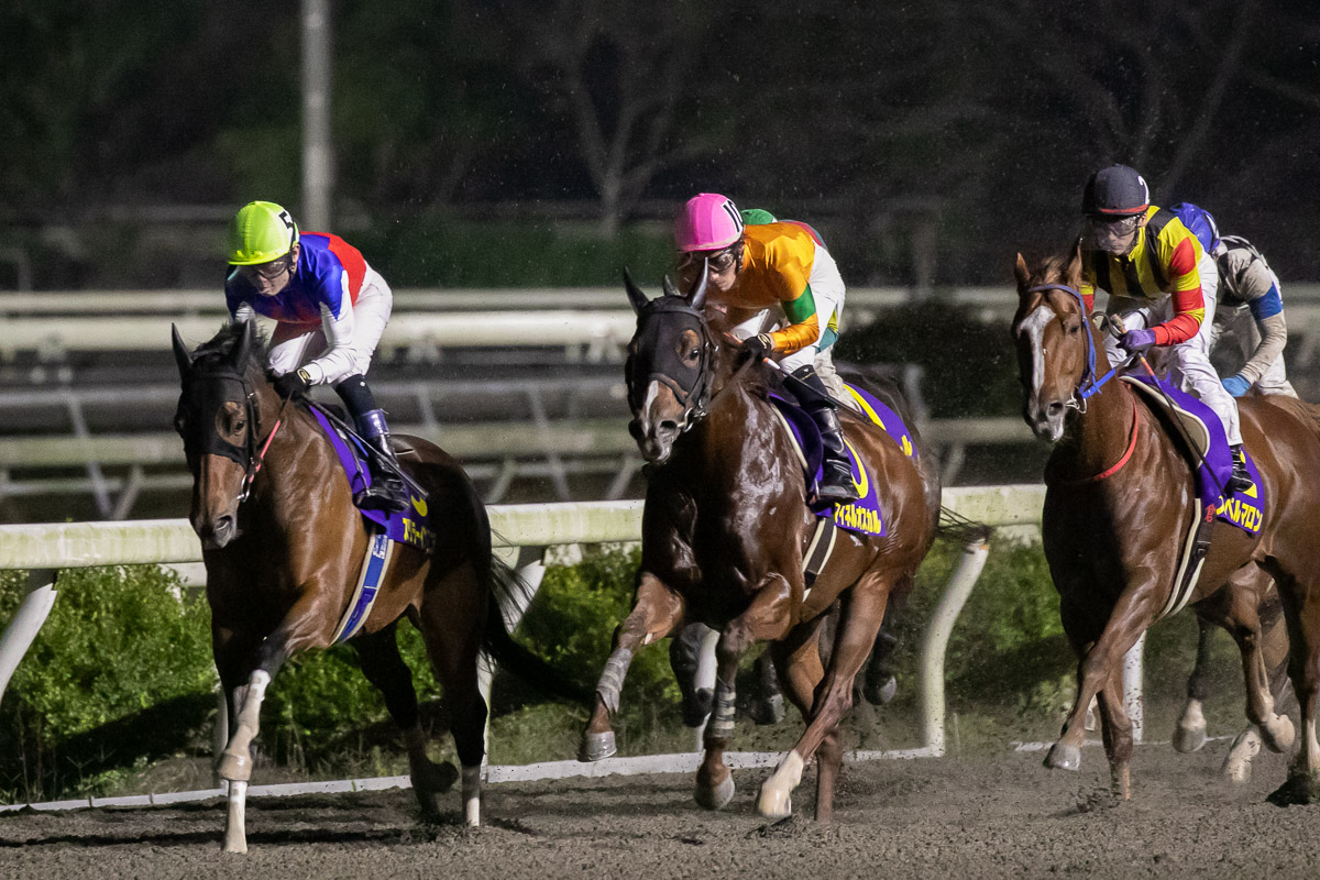 きち うま 地方 競馬 うま 競馬 きち 地方