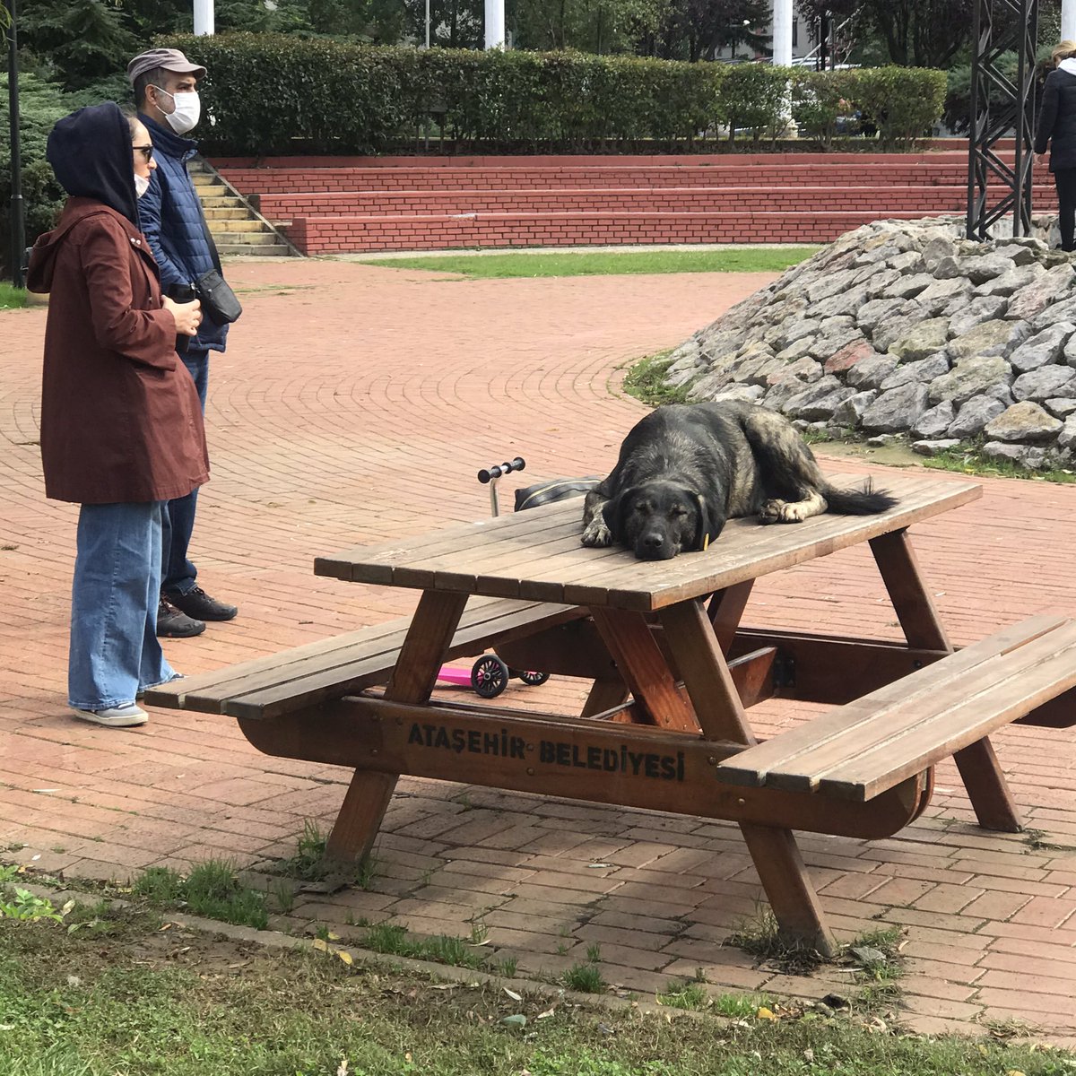 Yurdumun güzel İnsanları sosyal mesafeyi koruyarak masa sırasını bekliyorlar 🙏🍀🙏