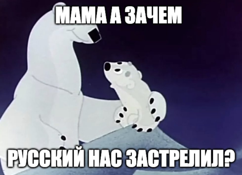 Російські військові застрелили ведмедицю і ведмежа: залізли на підводний човен - Цензор.НЕТ 9576