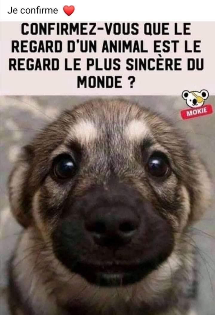 Hamza | حمزة tweet media