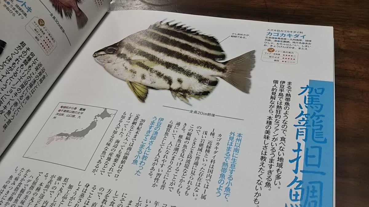 ますもん いま食べたが これがほとんど流通しないってどういう事だ 漁師や釣り人だけの秘密なの こんなツイートしたら消されるの