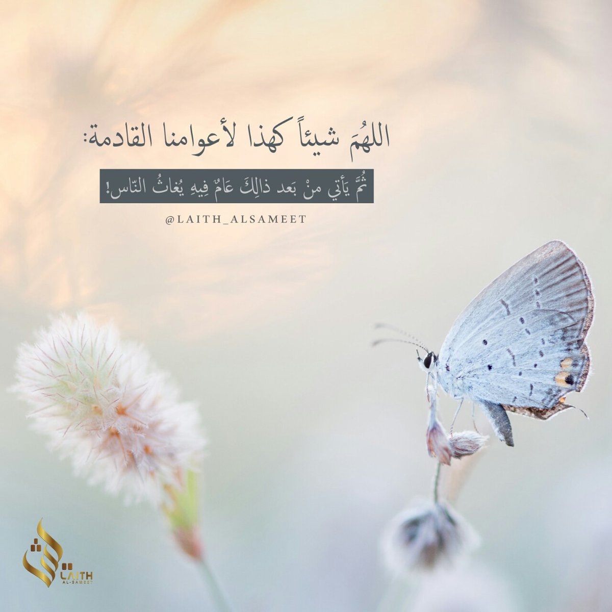 Ah_123e's tweet photo. 🔖اللهمَ شيئاً كهذا لأعوامنا القادمة :

{ ثُمَّ يَأْتِي مِنْ بَعْدِ ذَلِكَ عَامٌ فِيهِ يُغَاثُ النُّاس }

#نبض_الامل_للدعم
#مملكة_الشعراء
#مملكة_نوره_للدعم
#قروب_الاصايل_للدعم
#قروب_الغالي_للدعم https://t.co/ZdVaTO7nZH
