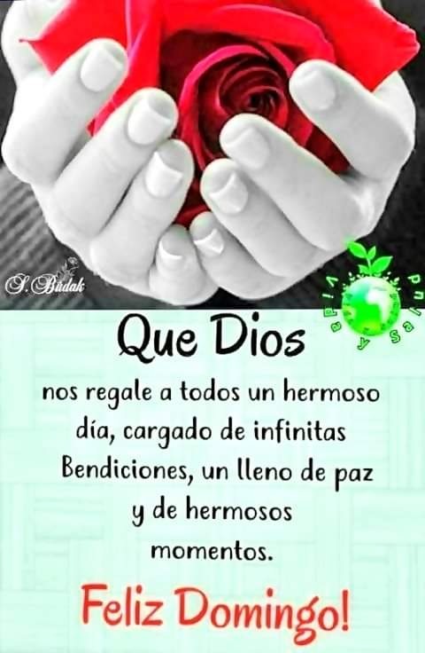 Gracias 🌷
  Gracias 🙇‍♀️🙇‍♂️