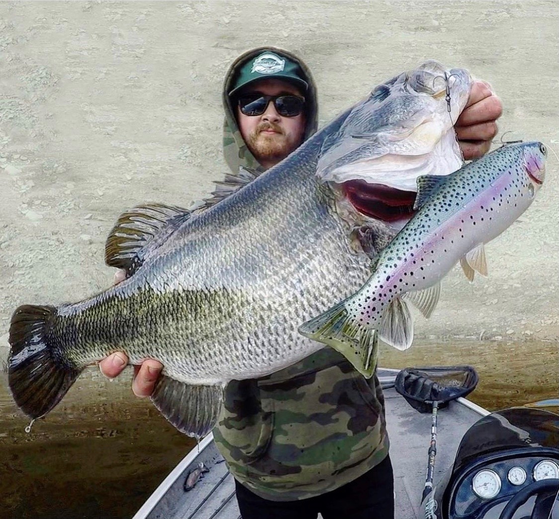 WorldFishingNetworkστο X: Big fish eat big baits!!! Do you agree? -  @bassjak_ #THISISFISHING #fishing #fish #bass #bassfishing #largemouthbass # baits #lures  / X