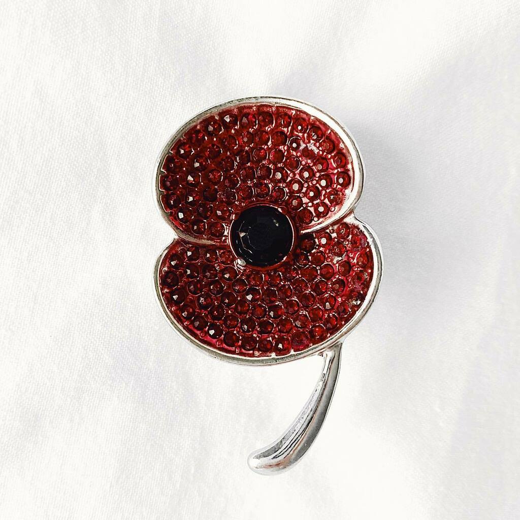 freyawilcox's tweet photo. In Flanders fields, the poppies blow
Between the crosses, row on row.
#WeWillRememberThem #LestWeForget
.
.
.
.
.
.
#BloggerShare #BlogAndBeyond #RealLifeAndStyle #BloggerPost #LifestyleBlogging #LifestyleBlogs #LifestyleInspo #SmallBlogger #TheseHapp… https://t.co/4jEYKaXhQM https://t.co/LVgBO4becB