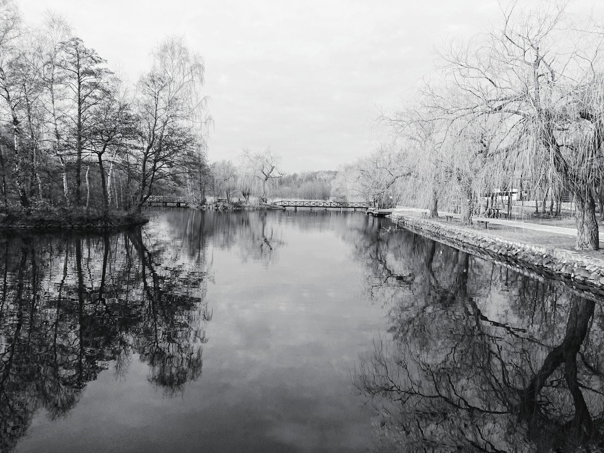 chrome.gram tweet media