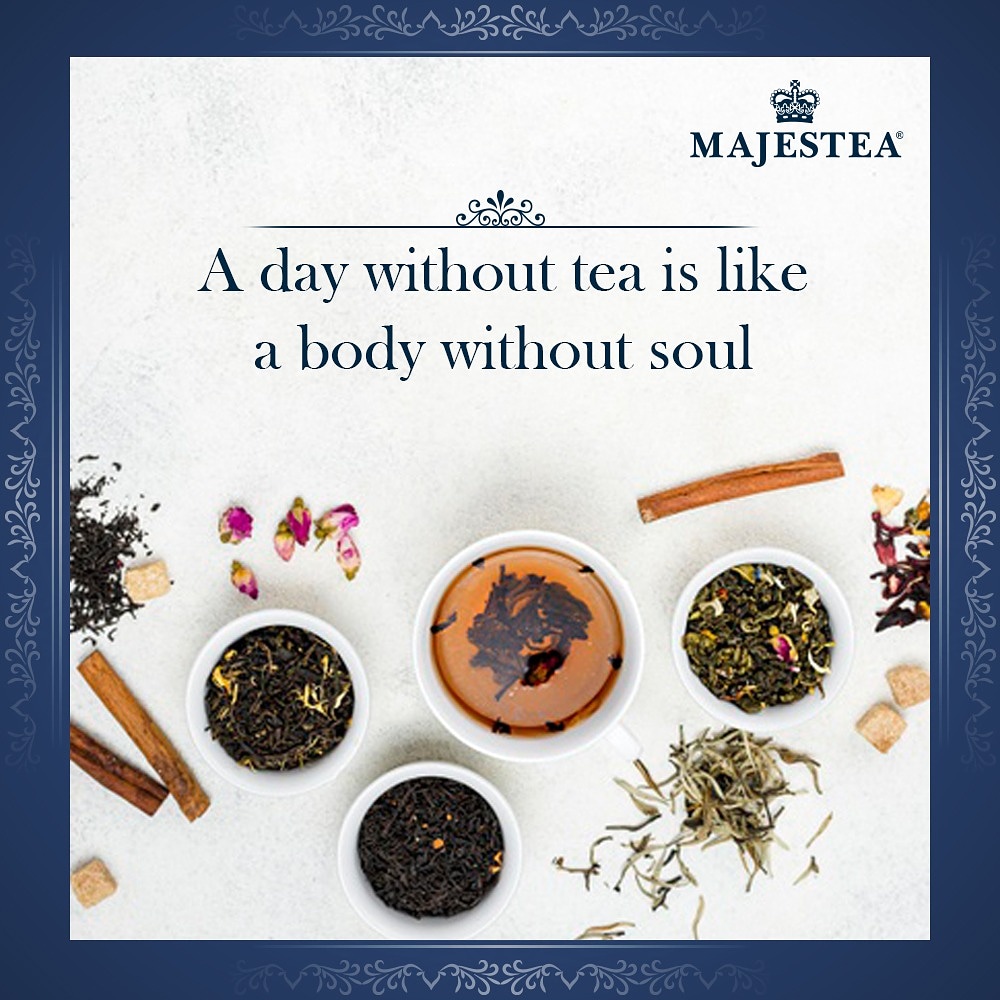 Majesteaglobal's tweet photo. We can't imagine our days without tea..
Can you?
#majestea #tealove #tealovers #teatime #teaislife #ilovetea #teacheers #premiumtea #teataste #russia #saintpetersburg https://t.co/cUZz7FTbeM