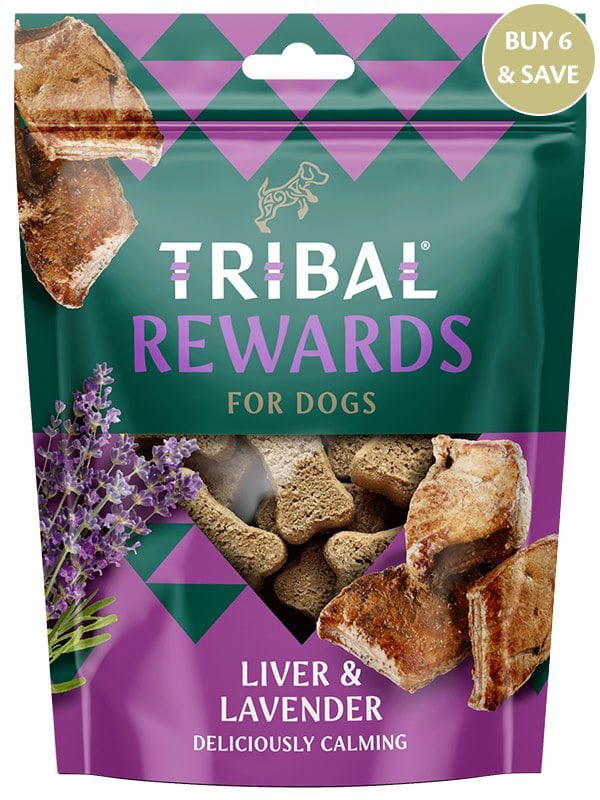 TotallyGreyhou1's tweet image. We all know that treats are guaranteed to make our Greyhounds happy, but do they make them HEALTHY? 👍

Most of us have all been guilty of ‘Supermarket Convenience’ buying without realising how unhealthy they are. ✖︎✖︎

totallygreyhound.com/dog-treats-goo… ❤️