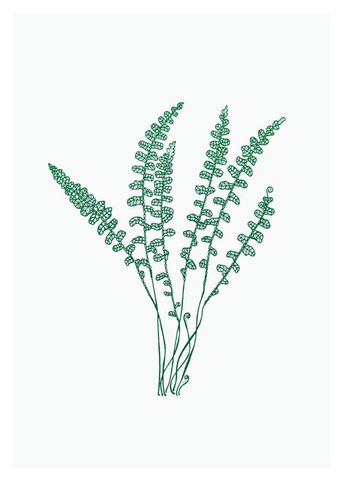 Petal to Petal is Lily’s brand for her exquisite prints, inspired by the stunning landscape & flora of West Cork. Her prints have a muted elegance that are calm & restful. I love her choice of colour & great taste. Buy here:  http://petaltopetal.com/shop 