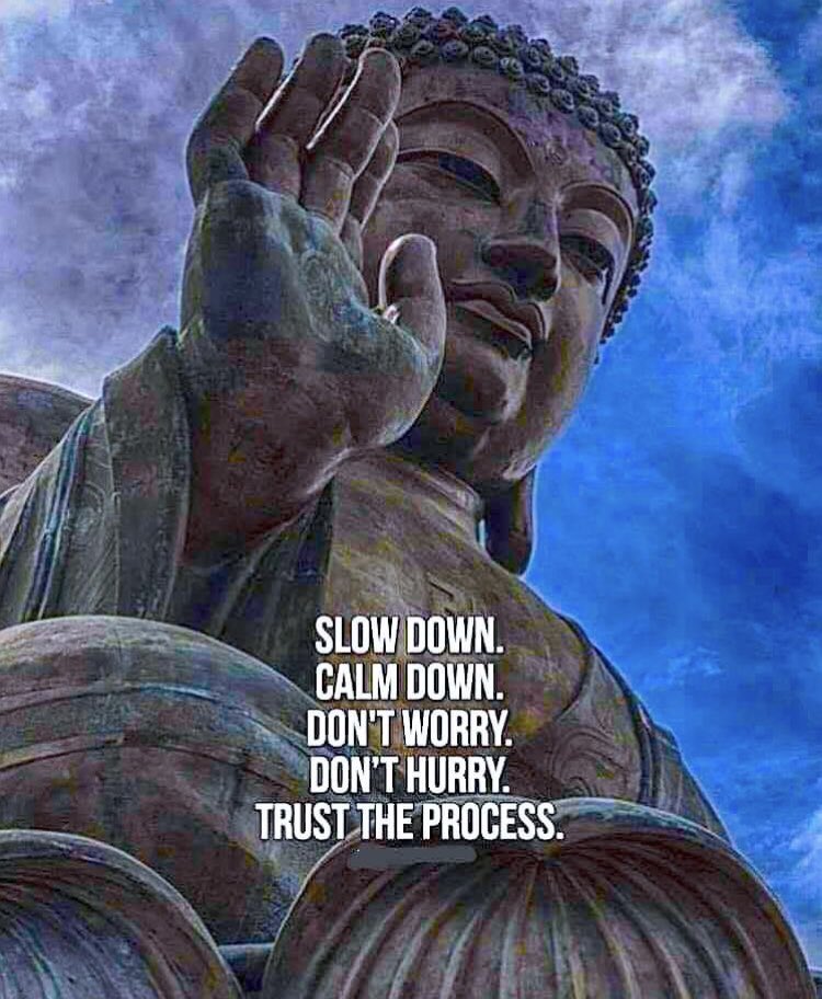 LucyLadybird33's tweet photo. https://t.co/dTHilDk1nx