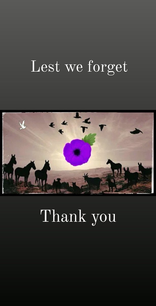 TejasEleni's tweet image. #LestWeForget #lestweforget2020 #animalsofwar