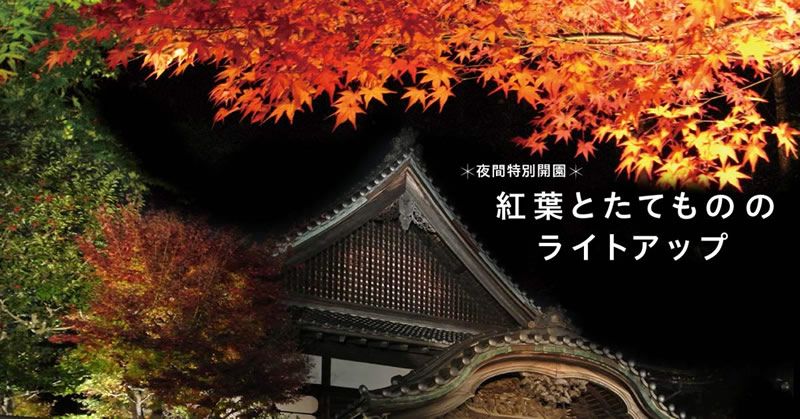 event_checker's tweet photo. 11/22(日)-23(月祝)東京・小金井市の江戸東京たてもの園で「紅葉とたてもののライトアップ」開催。色づく紅葉が夜に浮かびあがり、家屋の窓あかりが優しく園内を照らす"和"のイルミネーションイベント→https://t.co/gnmXX3QkCG https://t.co/vEw0LhrcBs