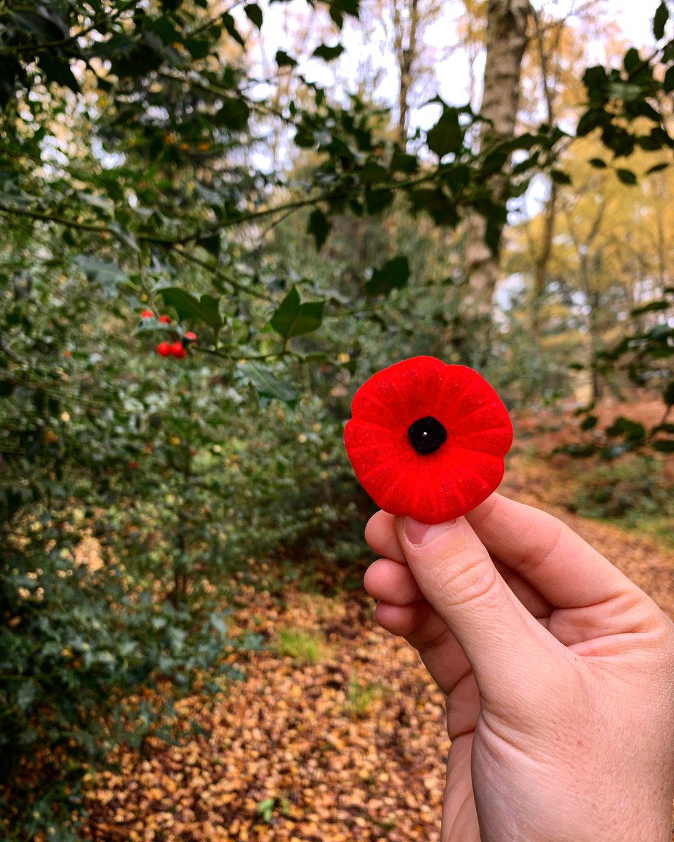 mcgloiner's tweet photo. Remember them. #RememberanceSunday https://t.co/jbz2SVXhT2