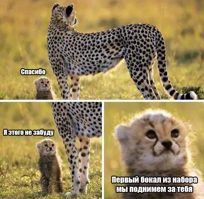 Когда курьер успел доставить заказ с посудой до дня праздника: