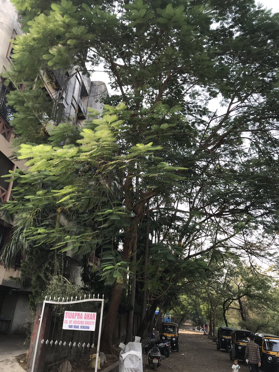 RANA BHATIA tweet media