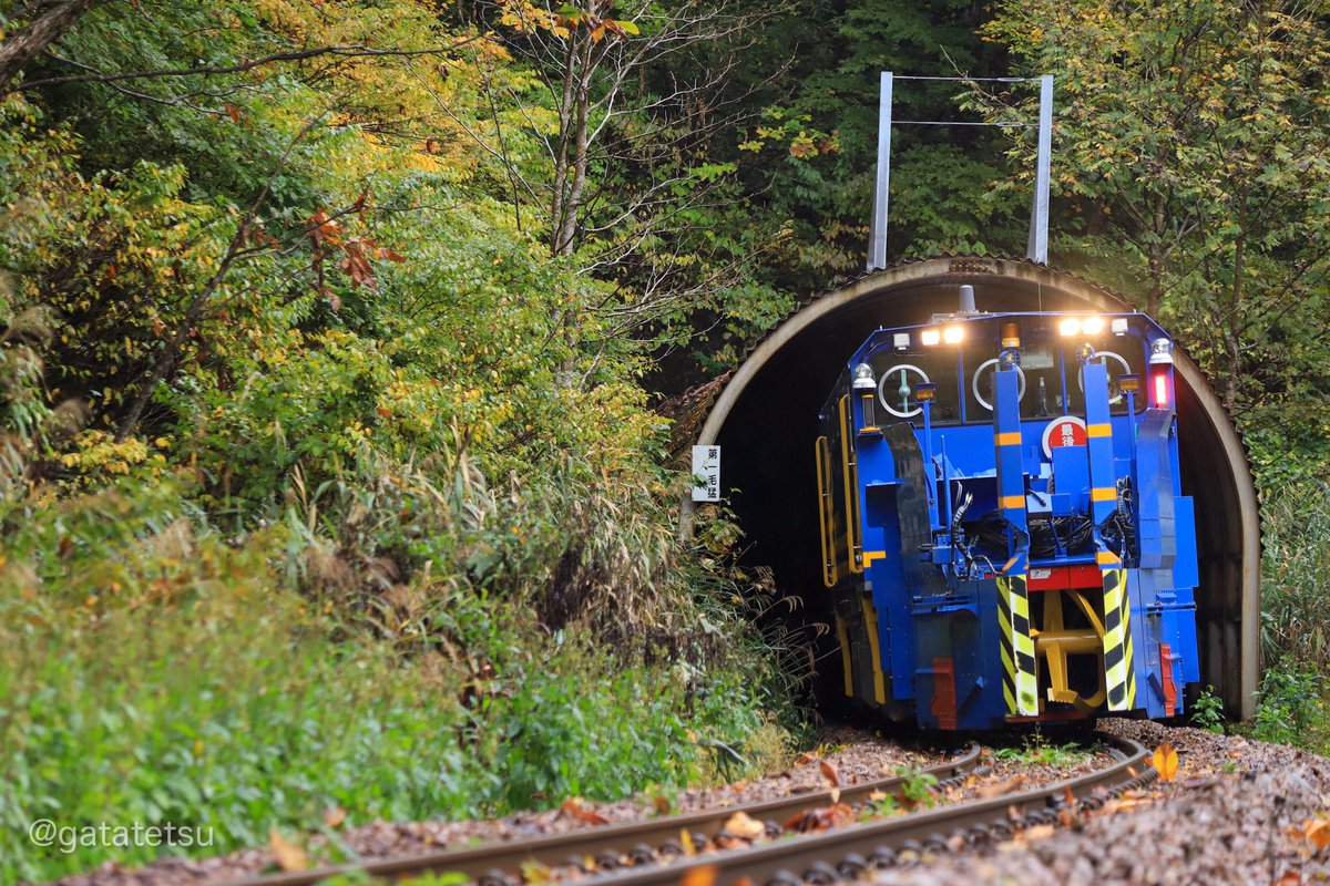 潟鉄工業 毎秋恒例 投排雪保守用車による只見線の落ち葉対策 Tl見る限り年々撮る人増えた気がする Enr 1000 新潟トランシス14 Jr東日本6014 R2 10 24 Jr只見線 大白川駅ー只見駅間 保守用車 投排雪保守用車