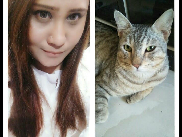 meuzmaqureshi's tweet photo. People who love cats have some of the biggest hearts around.”
#projectcat #discoverychannel 
#discoveryprojectcat #cateye #catlovers
@VaishaliJadon @prasad_rushali @mannpreetk_ @BhavnaJamwalion @GargiChoudhary4 @raagzz_1920 @MeKashishSingh @VidyutsPayal @vidyut_parashvi https://t.co/MsrhRqtdpW