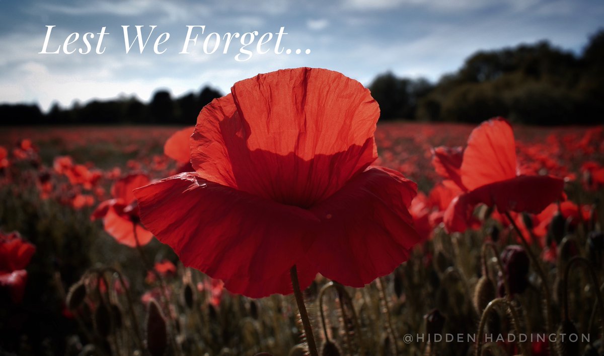 HiddenHadd's tweet photo. Lest We Forget... 🌹 
#LestWeForget #RemembranceDay #RememberanceSunday #WeWillRememberThem #haddington #hiddenhaddington #eastlothian #scotland https://t.co/zqziiBMX7F
