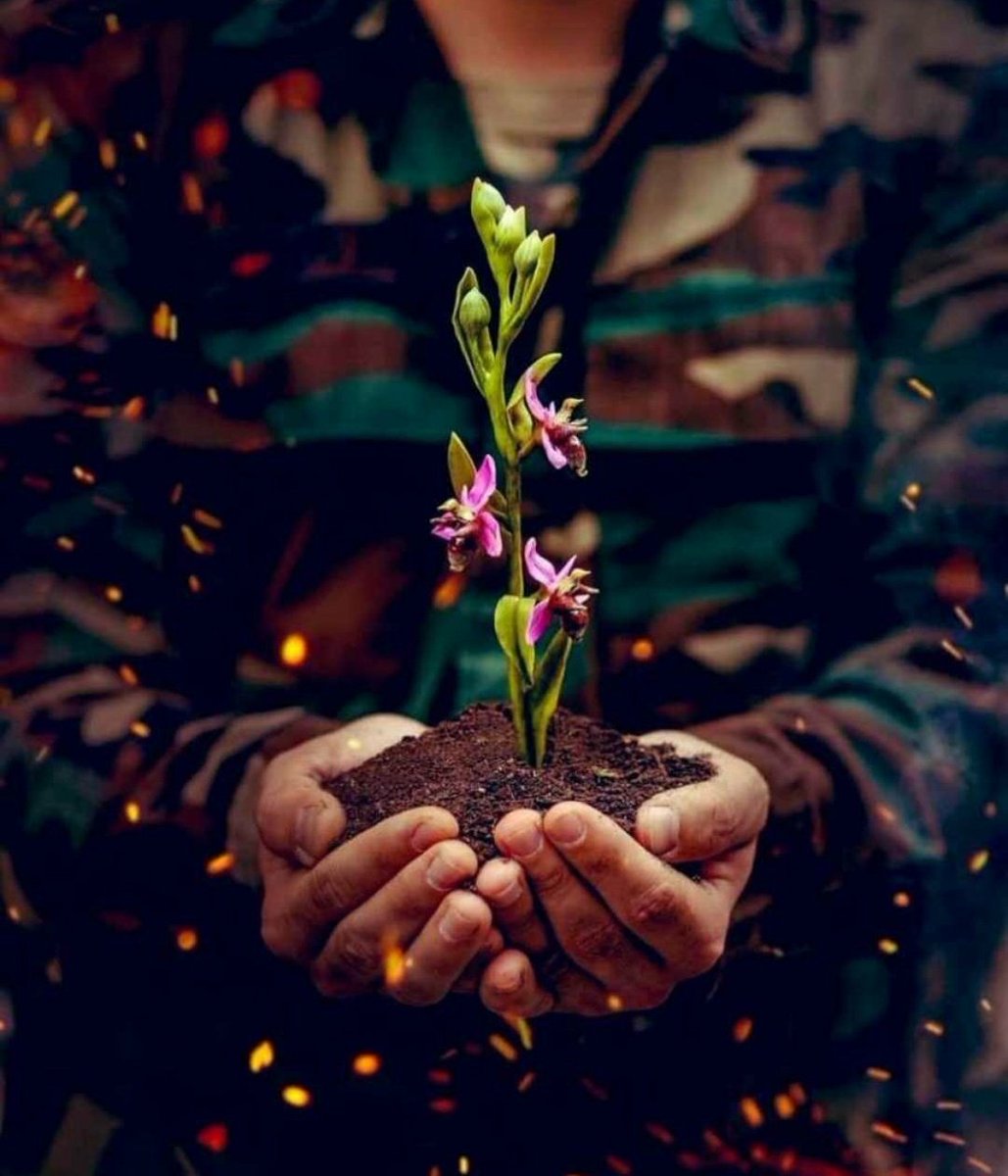 Biz Xarı Bülbülün haqqını almağa gəlmişik!
#KarabakhisAzerbaijan 
#shushaisazerbaijan