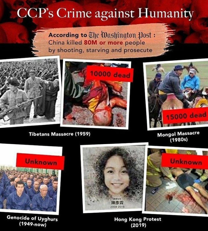 If you can feel pain, you are alive. If you can feel the pain of others, you are human. miles away innocence suffers. Have you lost humanity,conscience,compassion? ccp china and the xi communist regime are doing evil. If I keep silent,if you keep quiet, who will stop so much evil
