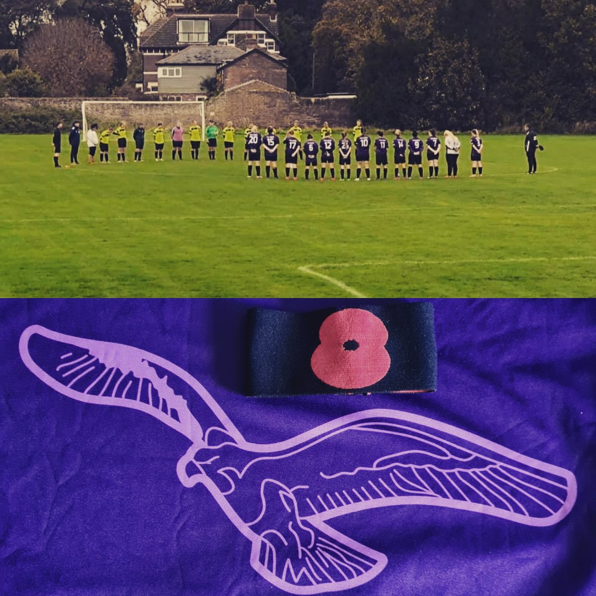 Gosport Falcons Ladies tweet media