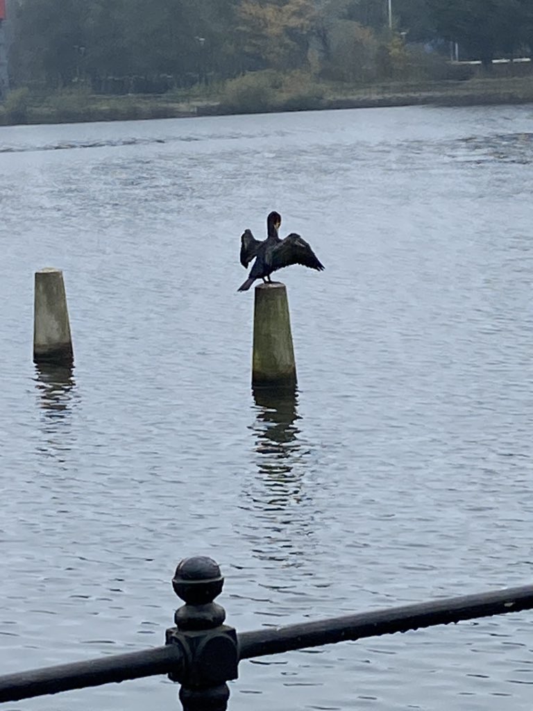 Heathwindows80's tweet photo. An 11km run round the Cardiff bay barrage and the wharf to sweat out the curry and beer 🤣😅. Lovely views this morning 🤩#cardiffbay #penarth #atlanticwharf #cardiff #cardiffbarrage https://t.co/AFVxwx89iT