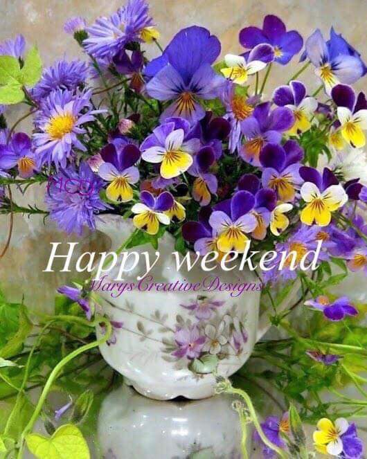 Good mornig Friends ⚘

Bom día ⚘🌿

Bello y bendecido domingo🍃🌼🍃