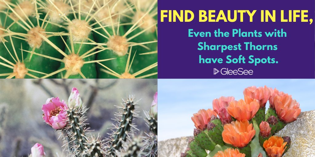 gleeseeofficial's tweet photo. Life is full of beauty. Notice it.
#GleeSee #Entrepreneurs #Freelancer #BusinessGoals #onlinebusiness #virtualworld #Virtualjobs #homebasedoffice #workfromhome #Lifestyle #Vacations #SundayThoughts #sundayvibes https://t.co/kBUAZ8GAf6