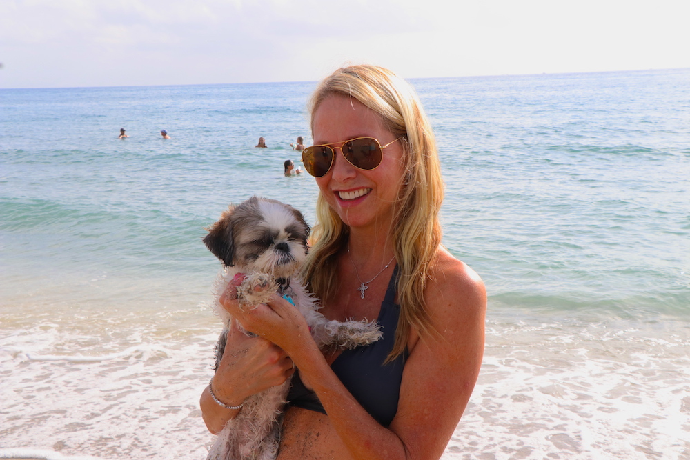 JupiterDogBeach's tweet photo. We love our local dog beach-goers! ❤️🐾
#Dog #DogBeach #JupiterFL #beachdog #dogsofjupiter #donate #charity #nonprofit #southflorida #doglover #dogsofinstagram #dogoftheday #hugs #dogkisses #cuddle #doggy #puppy #dogcharity #friendsofjupiterbeach #Beach https://t.co/2iJwwfGgeA