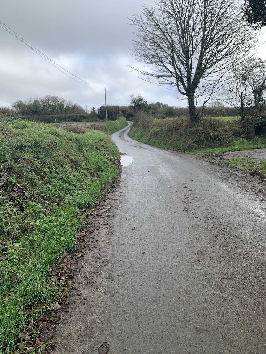 avoteach's tweet photo. Midday walk to blow the cobwebs away before hitting the laptop to get prepped for the week and to endeavour to find my tail 😂💪#preplikeaboss #lovemyjob #solutionfocussed https://t.co/fCEwgZRl60