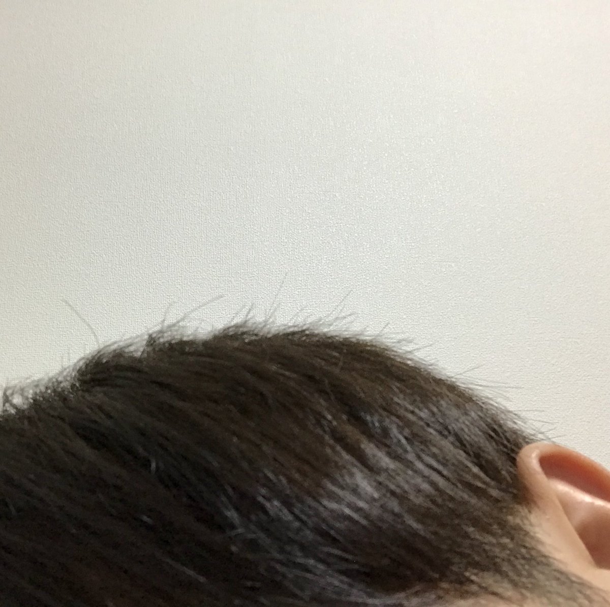 せーたろ 1年ぶりに会った地元の友達に 高校卒業して初めて茶髪にするけど明るすぎると恥ずかしいから周りにバレるかバレない か分からない程度に染めました みたいな茶色だね って言われました せーたろ 1年ぶりに会った地元の友達に 高校卒業して初めて茶髪にするけど明るすぎると恥ずかしいから周りにバレるかバレない か分からない程度に染めました みたいな茶色だね って言われました