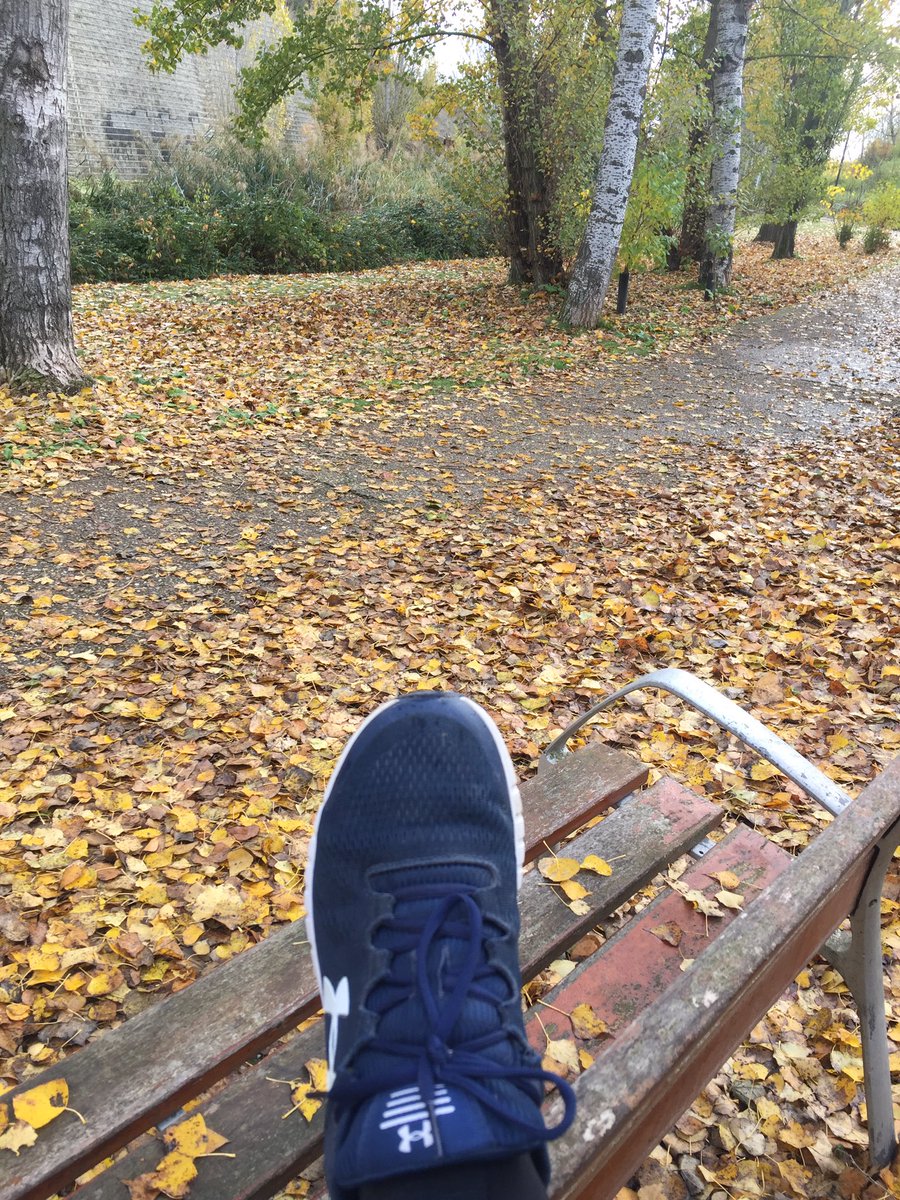 ferflocab's tweet photo. 🏃‍♂️🏃‍♂️😎😎
 
#paseo #deporte #otoño https://t.co/isvGWHH5gi