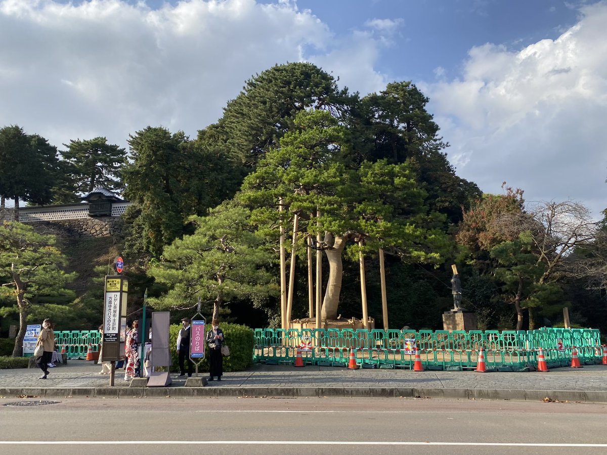 ふらっと金沢 金沢城公園にある前田利家像のとなりで松の木が移植されていました 利家とまつ ですね笑 金沢 金沢城公園 前田利家像 松 移植