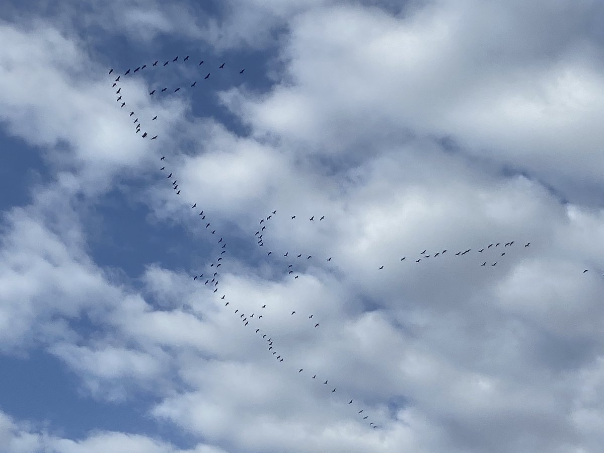 Benjamin Legrand tweet media