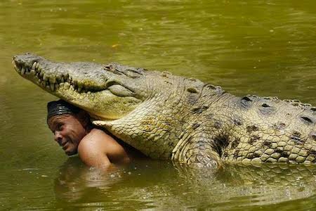 westtrybe's tweet photo. A fisherman in Costa Rica nursed a crocodile back to health after it had being shot in the head &amp; released the reptile back to its home. The next day, the man discovered “Pocho” had followed him home &amp; was sleeping on the mans porch. For 20yrs Pocho became part of the mans family https://t.co/yrVfIUT3bC