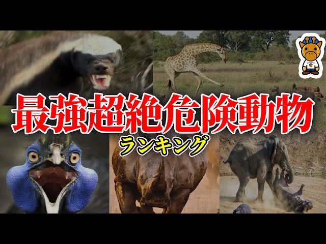 キリン 考察系youtuber S Recent Tweets 11 Whotwi Graphical Twitter Analysis キリン 考察系youtuber S Recent Tweets 11 Whotwi Graphical Twitter Analysis