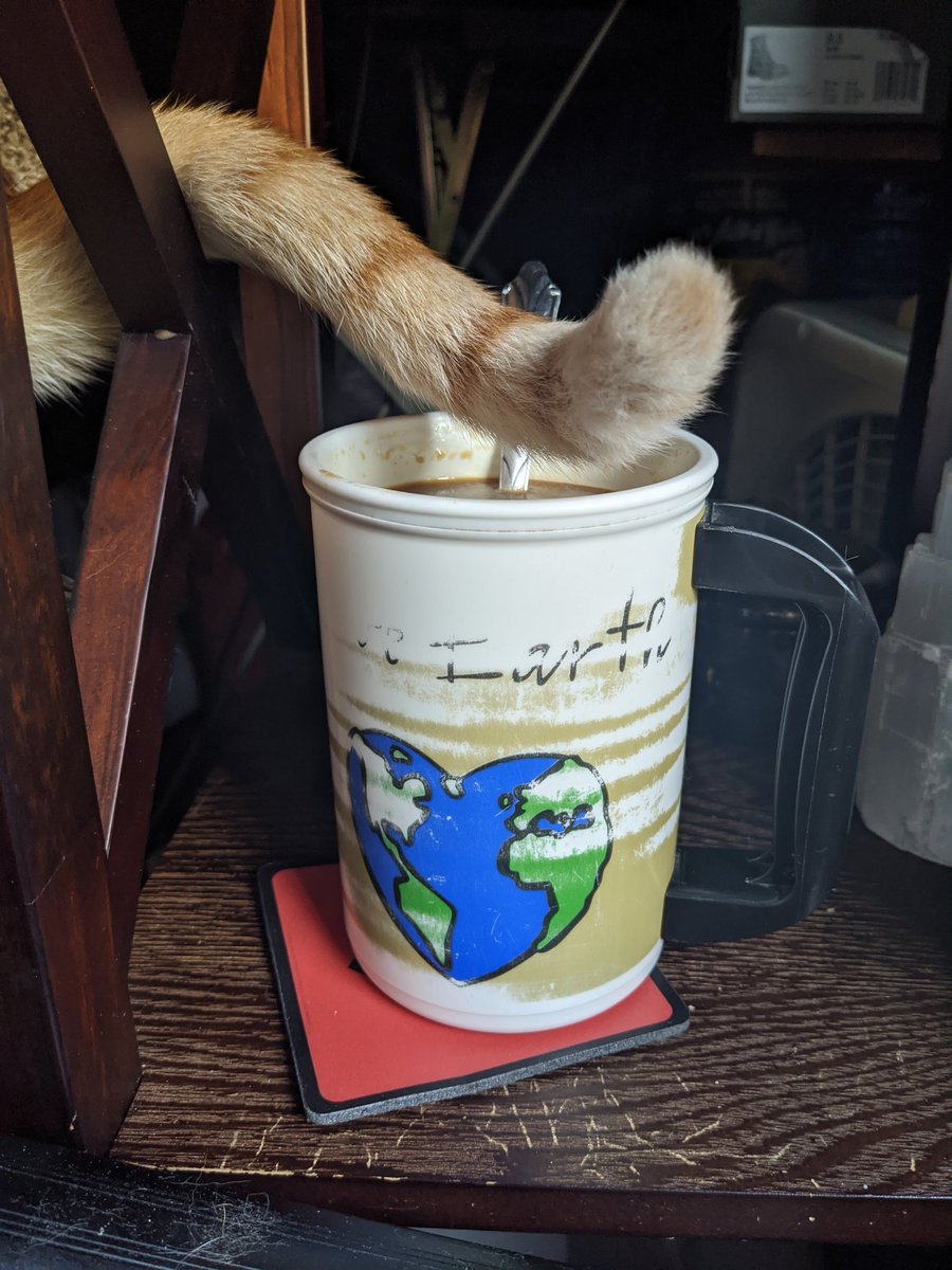GundamCat13's tweet photo. Danger close!!!
#GriffCat #coffee #CloseCall https://t.co/r1G4gfjUx5