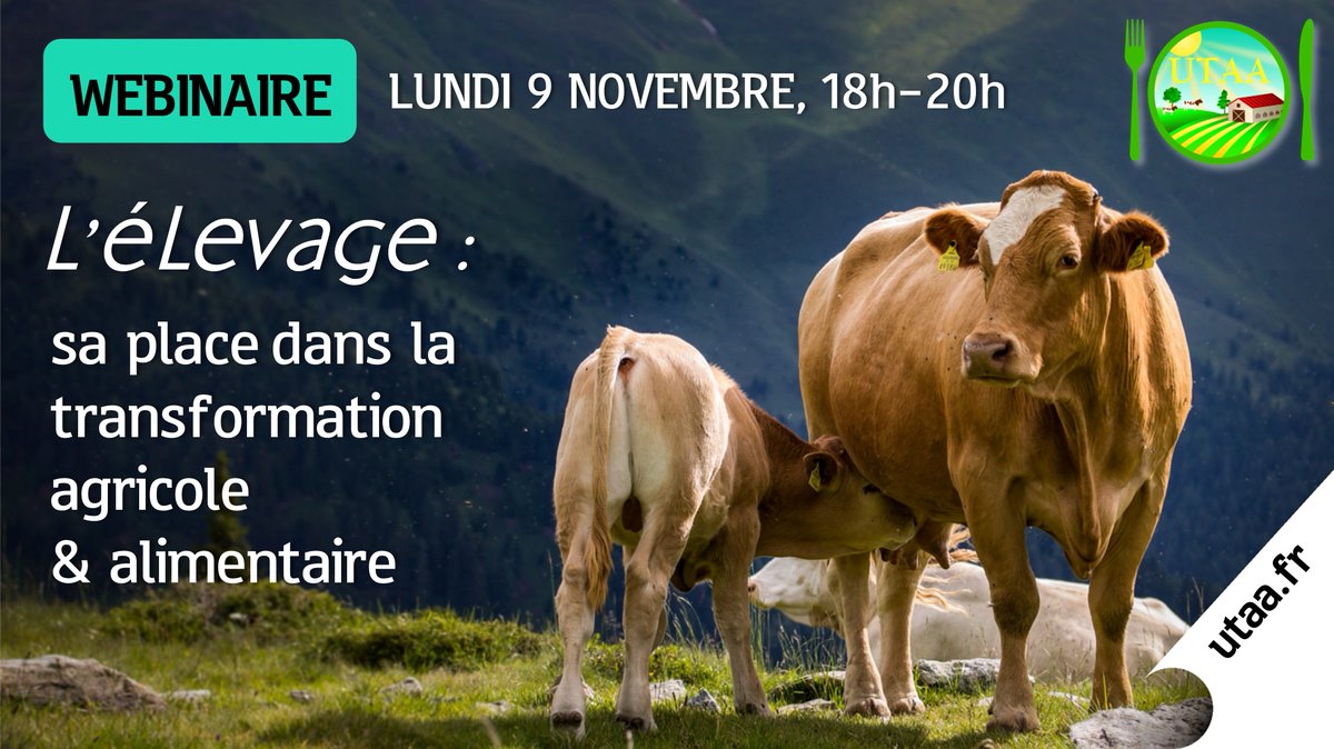 UrgenceTAA's tweet photo. 🔴 N'oubliez pas notre Webinaire consacré à l'élevage qui aura lieu demain de 18h à 20h !
Si vous êtes déjà inscrit, le lien de connexion du webinaire vous a été envoyé par mail. https://t.co/pLNfWEhHNp