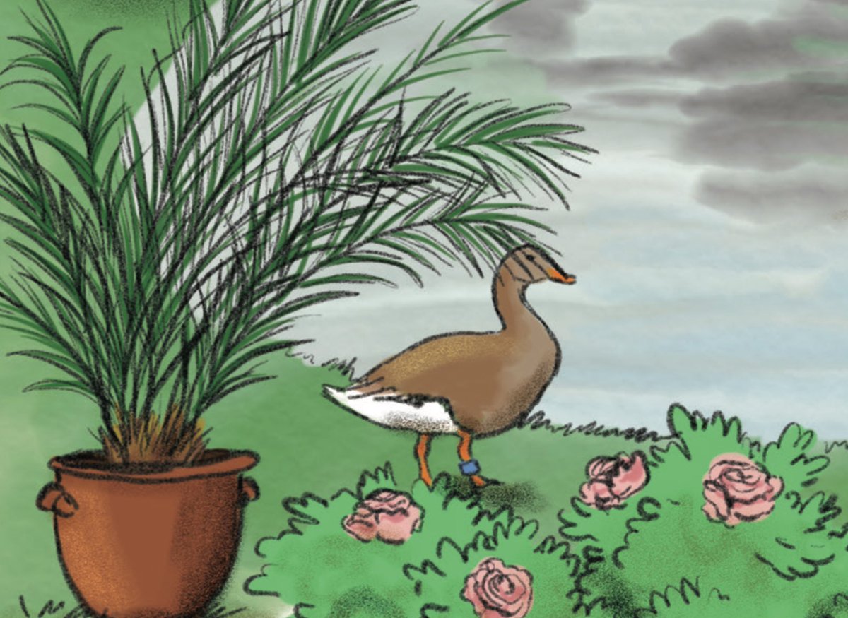 RickardSisters's tweet photo. If you are looking through The Ragged Trousered Philanthropists to count #HowManyHorses while cooking your Sunday dinner, you might notice the extraordinary ratio of cooked geese to live geese (11:5) https://t.co/oclaP8Y9fs
