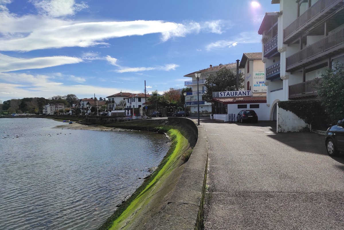 hoberena's tweet photo. Viento de componente sur y temperaturas agradables en el #Pais #Vasco continental. Un grupo de gaviotas también víctimas del #Covid_19 esperan en vano (en el agua y el tejado de la casa próxima) la apertura del restaurant que habitualmente les regalaba los descartes del pescado. https://t.co/SEhWuopbxT