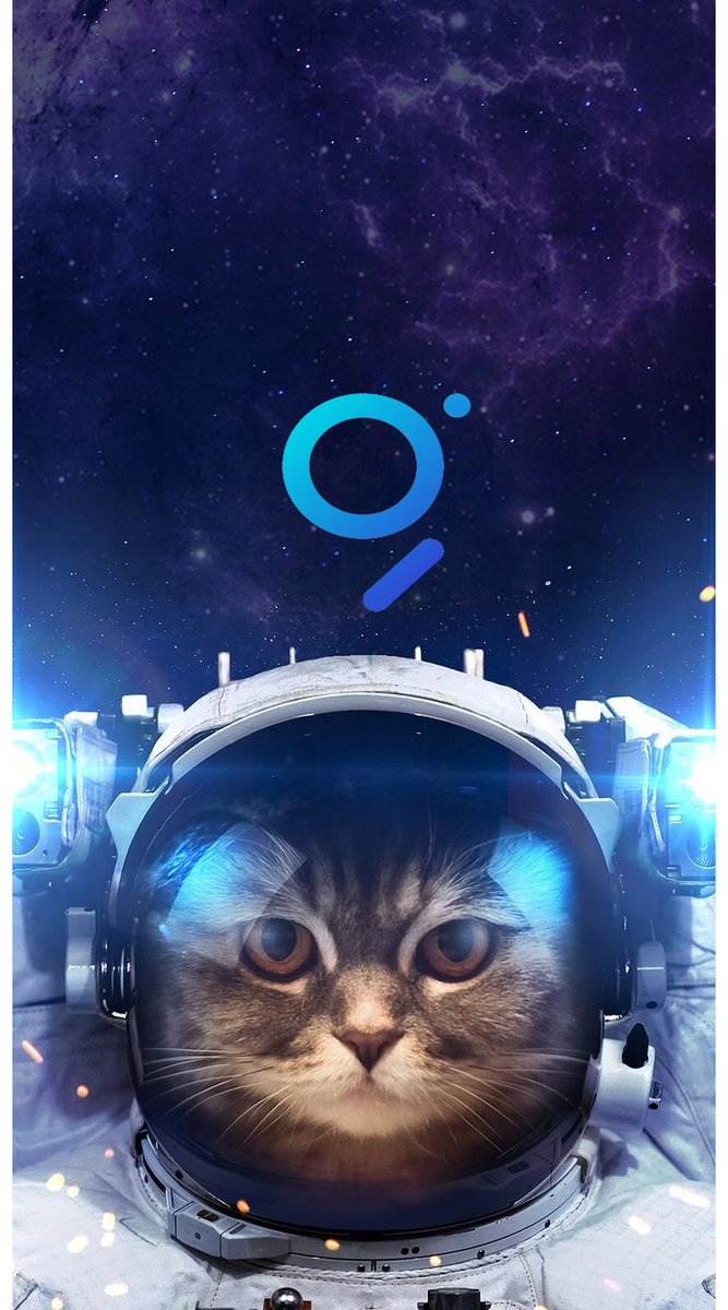 Phase 2 of the <a href="/graphprotocol/">The Graph</a>'s curator program was kicked-off after a successful phase 1 w/ over 1600 projects registered on <a href="/EverestRegistry/">Everest</a>, tons of memes, improvement proposals, community-built bots, translations &amp; more.

🐱meme by <a href="/polootroop1/">polootroop ETHGas ⛽</a>