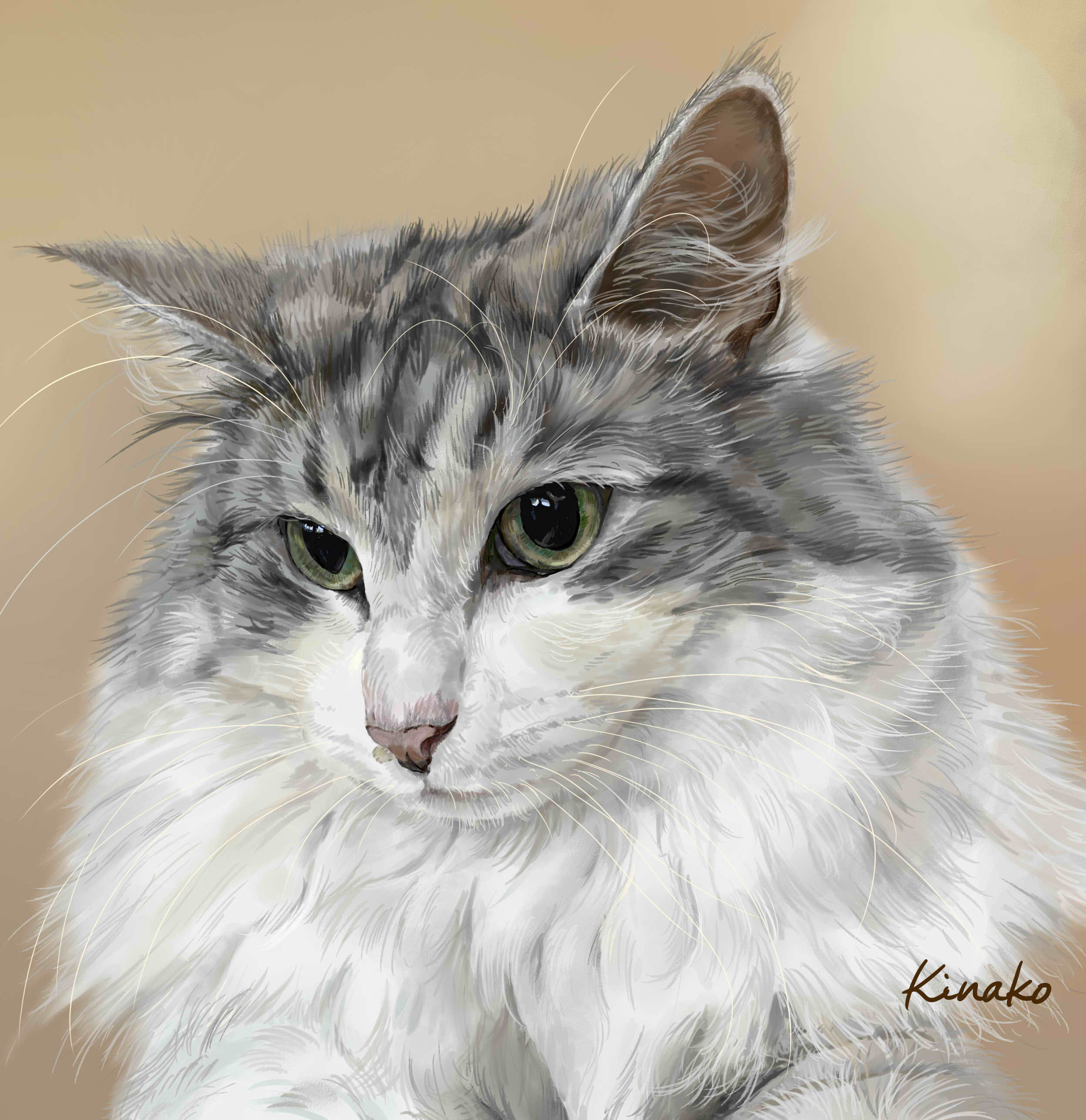 ট ইট র きなこ 猫の絵を描いています 4u3na4cgfdcslzh 人 ありがとう ございます 美しいお目目と毛並みの ノルウェージャン あこがれちゃいます ট ইট র