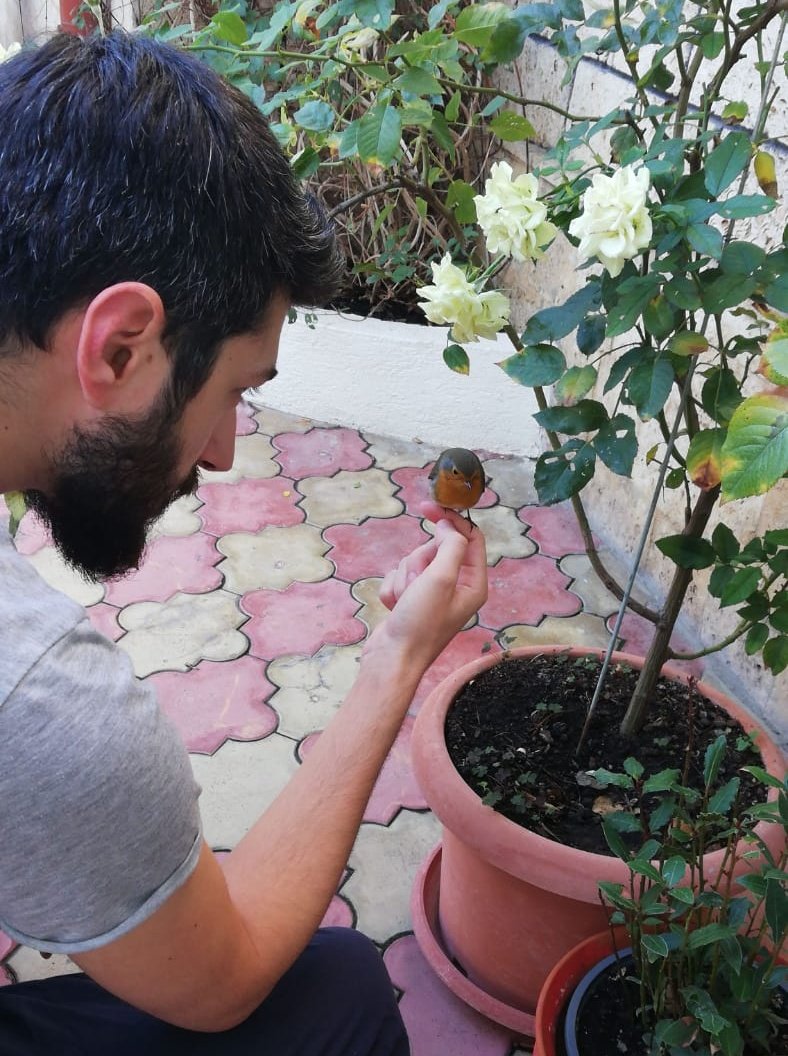 Crz_11's tweet photo. Found this idiot ouside my house after it tried to fly through a window https://t.co/onG4ivaSgX