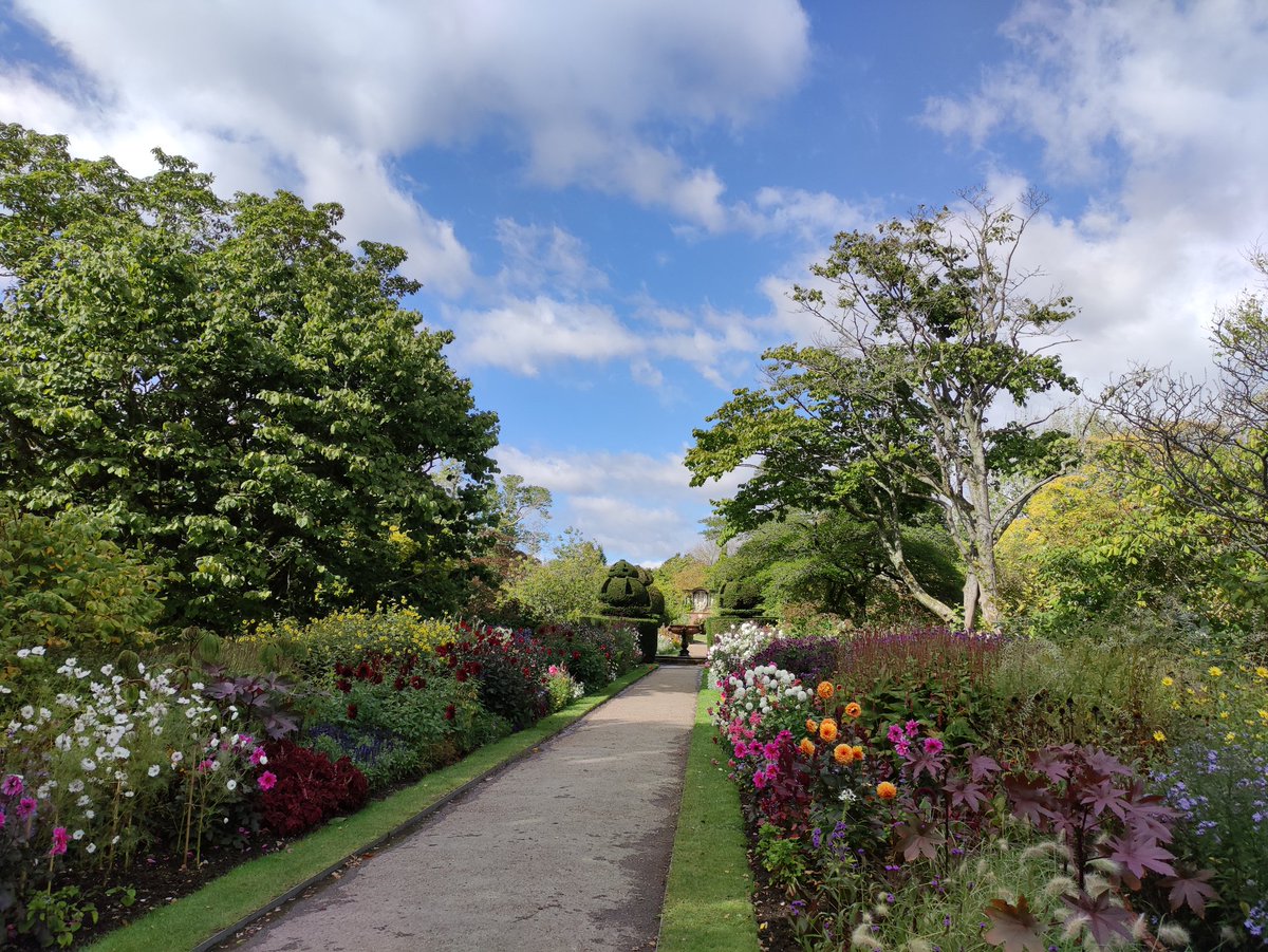 John Orna-Ornstein tweet media