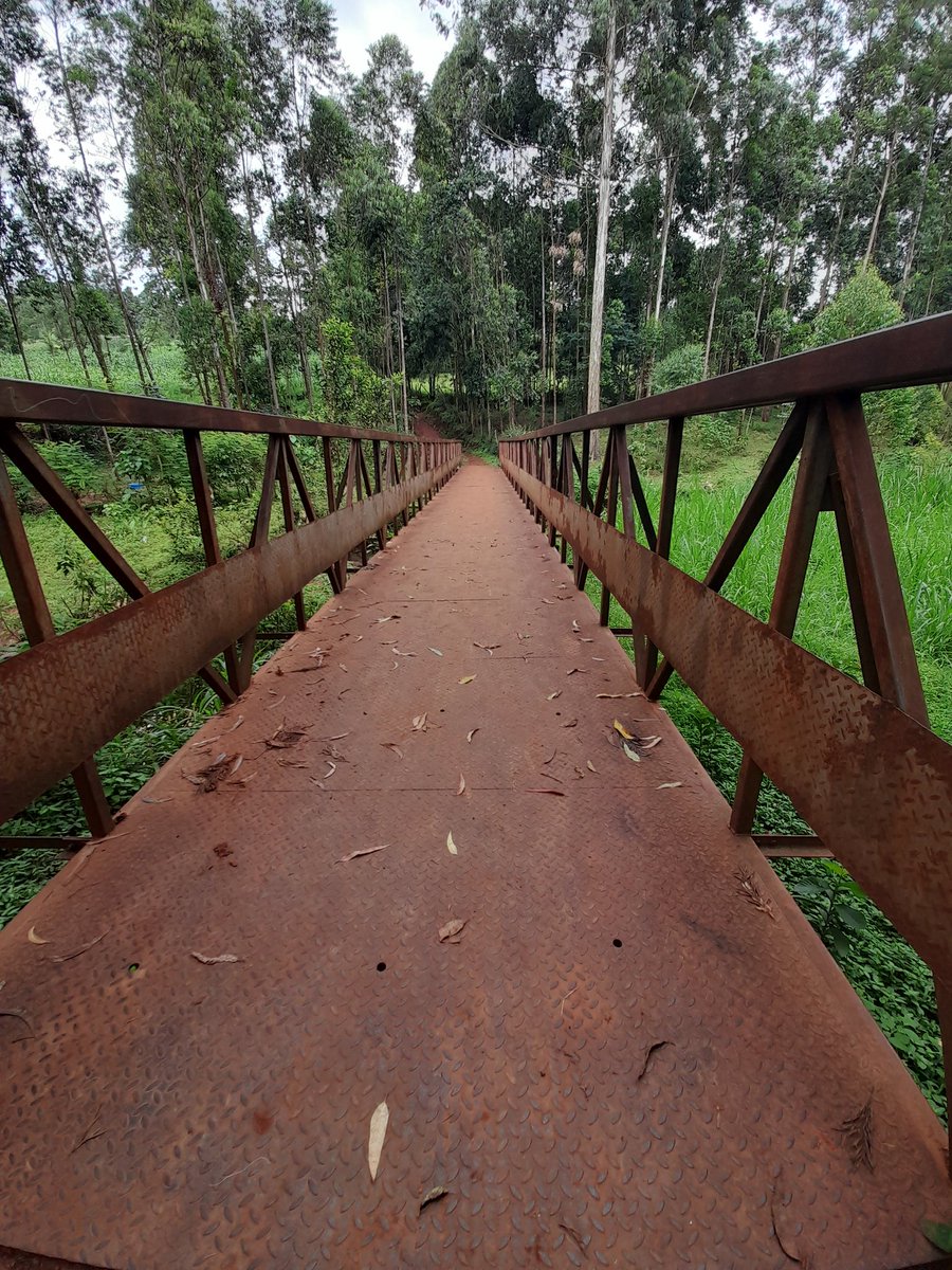 kituo_ke's tweet photo. Sunday walk 🌳 https://t.co/pwnbHDkGOr