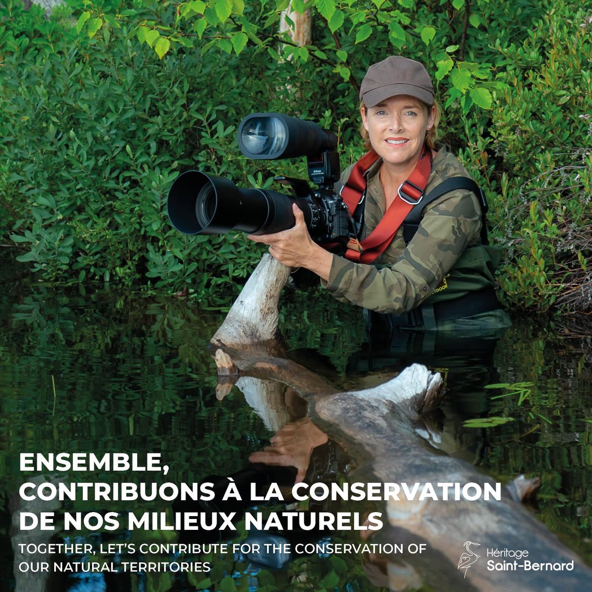 Héritage St-Bernard tweet media